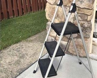 Folding Gorilla Ladder