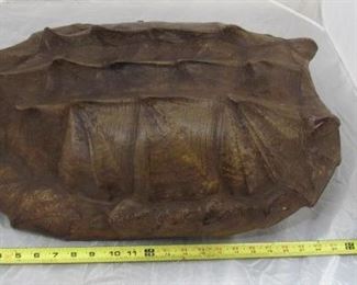 Alligator Snapping Turtle Shell