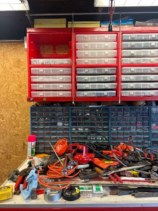 Hand tools and tool organizer bins