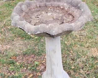 Birdbath