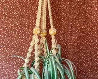 Hanging planter