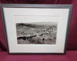 Bob Thompson Framed Original Photography Lot 5