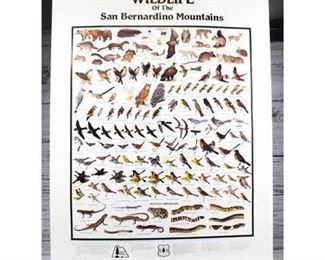 Wildlife of the San Bernardino Mountains Poster