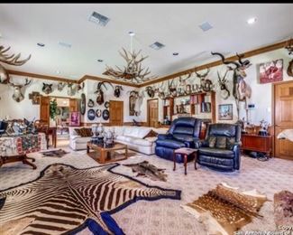 Kudu, impala, white tail, mule deer, wild boar