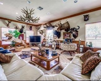 Moose, ibex, red buck 