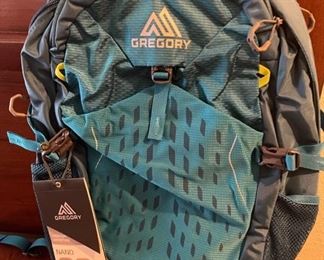 Gregory Hiking Backpack - New w/ Tags