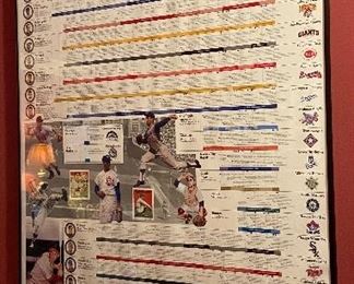 Framed Baseball Memorabilia 