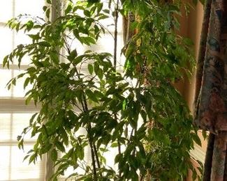 Huge Terra Cotta Potted Faux Plant