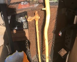 one walking stick is excited to see the other walking stick