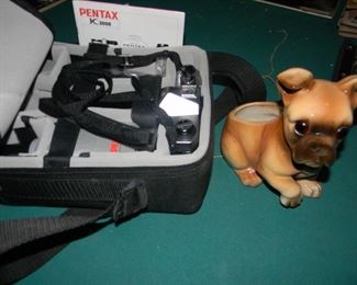 Camera / one of the dog planters (more)