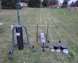 Weight Bench and Boxing Bag