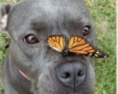 some of these are just for me