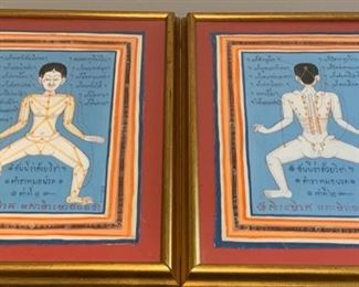 109. Pair of Handpainted Asian Anatomy Art (12" x 16")