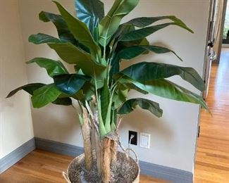 008 Artifical Banana Plant In Wicker Basket