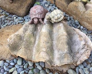 WLE070 - Large Clam Shell and Friends