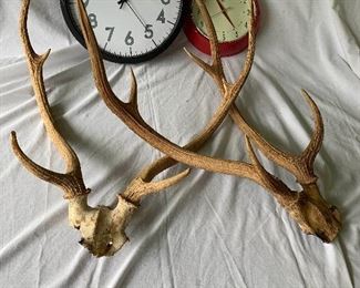 WLE126-Pair Of Buck Antlers And A Pair Of Wall Clocks