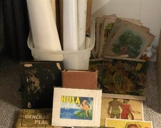 WLE254 - Hawaii Themed Posters, Prints, History & More