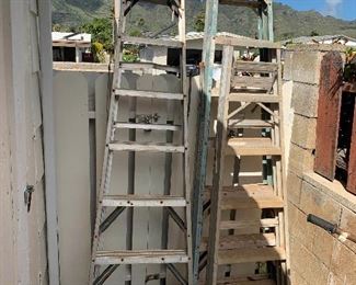 WLE300-Trio of Werner Folding Ladders