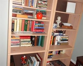 BOOK SHELVES AND BOOKS