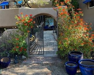 pots around the property