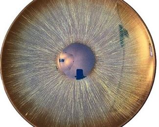 Lot 003-036
ARDA Glassware Iridescent Center Piece Bowl