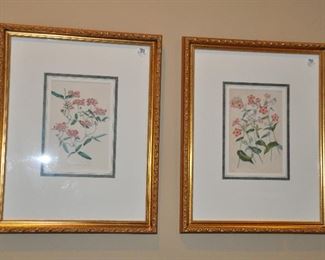 Lovely Botanical Prints, Framed and Matted, 16" x 19.75"
