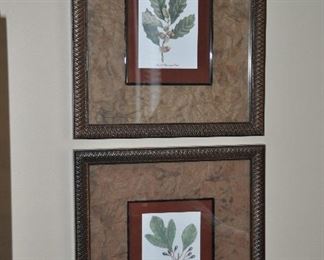 Sassafras and Small Chestnut Oak Leaf Prints, 17" x 15"