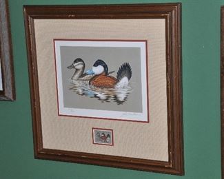 1981 Federal Duck Stamp and Print "Ruddy Ducks" Signed and Numbered, by Richard Plasschaert, 16" x 16.5"