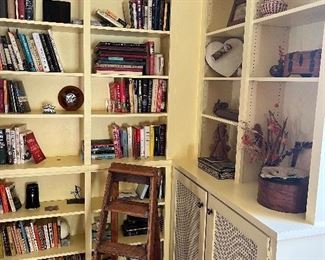 Books and antique ladders