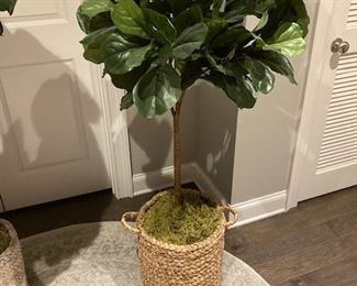PRICE - $35; Artificial fig tree in woven basket.