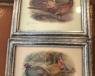 Set of four bird prints