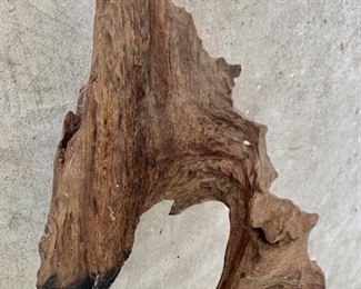Unique Example of Very Rare Ironwood for Display