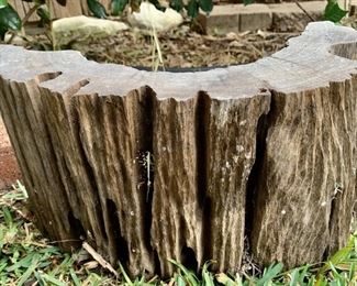 Half of a Hollowed Out Ironwood Stump