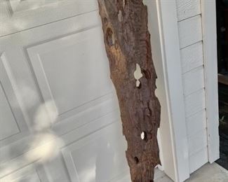 Very Rare 55in Piece of Ironwood Used as Decor