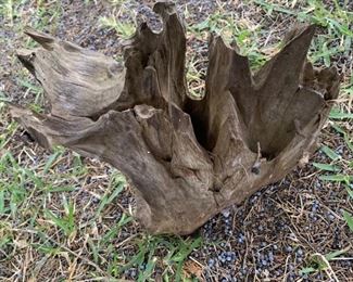 Piece of Very Rare Ironwood used as Garden Decor
