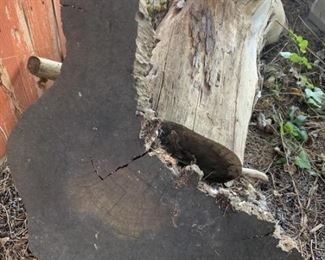 Piece of RARE Ironwood Cut Out Resembling a Boot