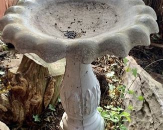 Bird Bath