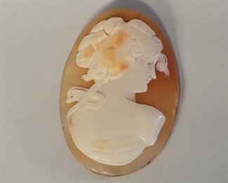 Loose Cameo on Shell, Total Weight is 8.52 grams