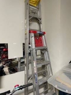 Davidson and Louisville Ladders