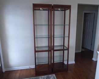 lighted glass shelving (2)