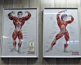 9 Framed Vintage (1975 & 1988) Posters (See Next 4 Pictures) Joe Weider's Bodybuilding System