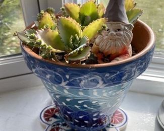 Terracotta planter with cactus.