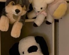 Stuffed Animals