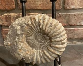 FOSSIL ON HEAVY METAL STAND.                                                        $60.00
