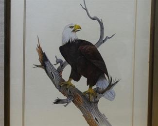 Eagle on Branch, Morgan '78'