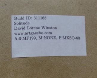 Solitude by David Lorenz Winston