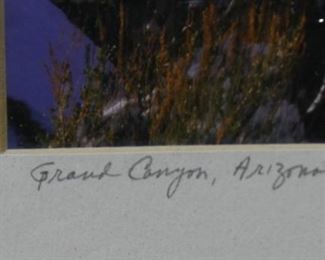 Grand Canyon Photograph by Tom Norwid