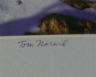 Grand Canyon Photograph by Tom Norwid