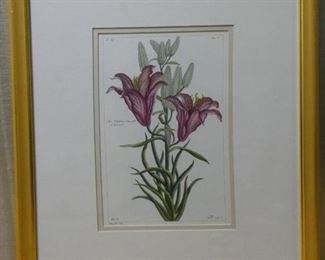 Lilium Bulbiferum Painting