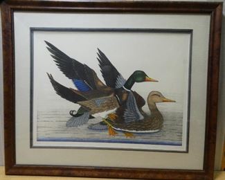 Mallards by Adam Mitics